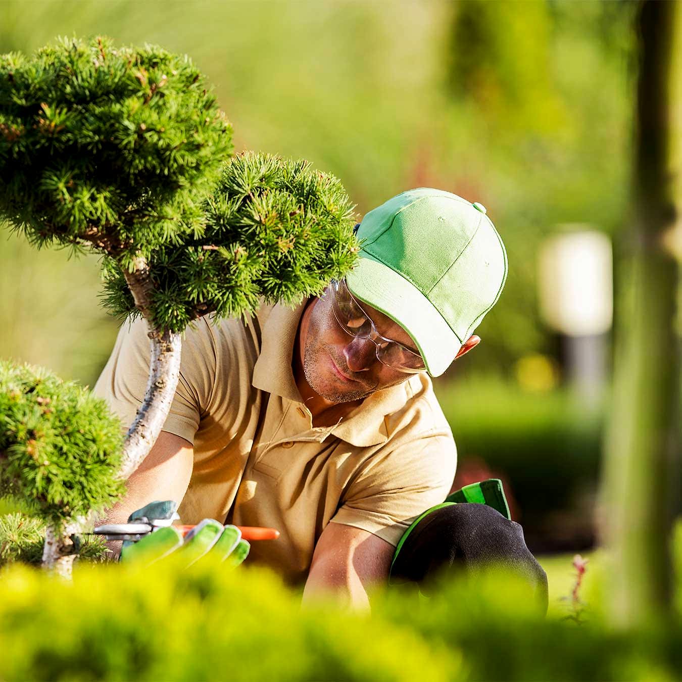 gocayol.quest-iletisim