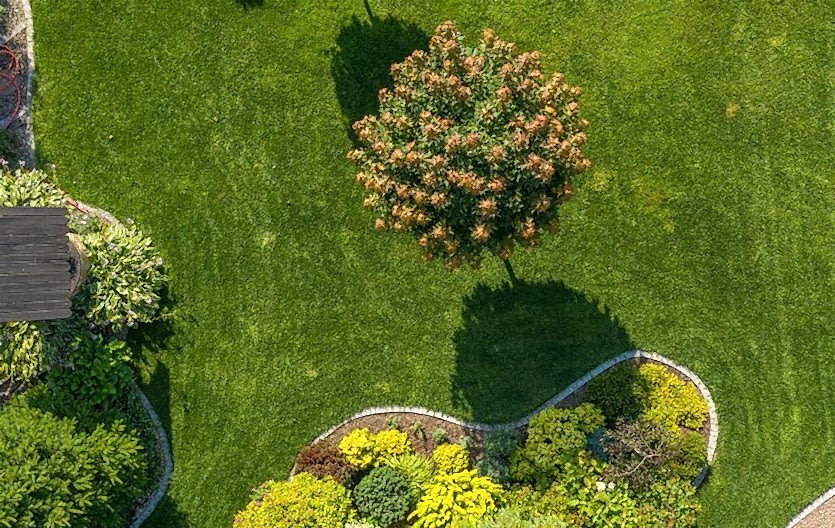 _Peyzaj-Düzenleme-&-Onarım