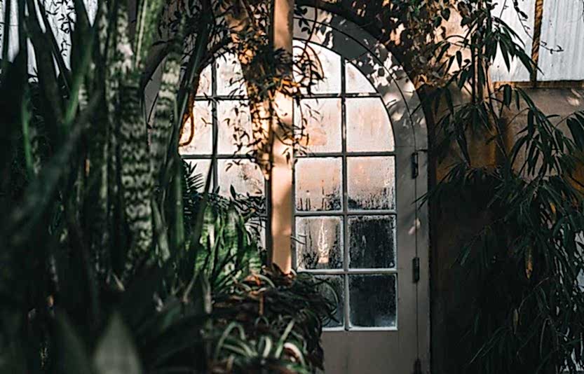 kis-bahcesi1 kis-bahcesi1